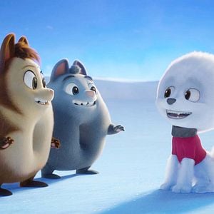 Fotoğraf Türünün Son İki Örneği