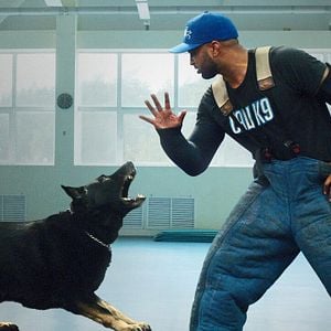 Fotoğraf Canine Intervention