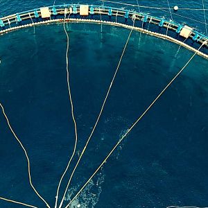 Fotoğraf Seaspiracy