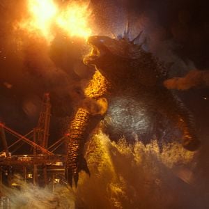 Fotoğraf Godzilla vs Kong