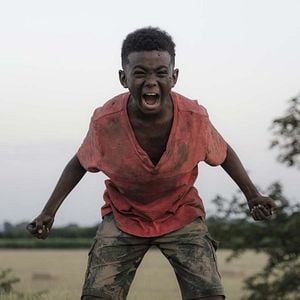 Fotoğraf The Last Tree