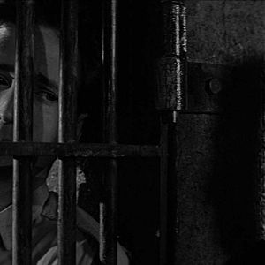 Fotoğraf In Cold Blood