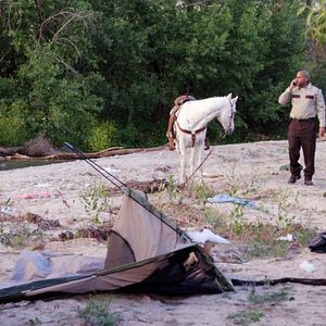 Fotoğraf Big Freaking Rat