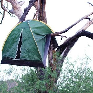 Fotoğraf Big Freaking Rat