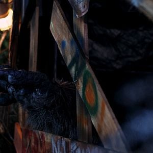 Fotoğraf Big Freaking Rat