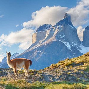 Fotoğraf Andes Mágicos