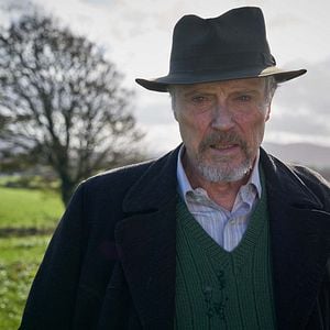 Fotoğraf Wild Mountain Thyme