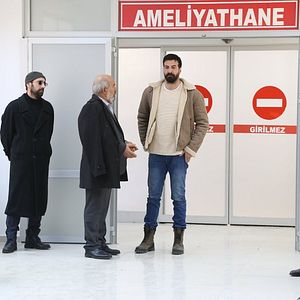 Fotoğraf Kuzey Yıldızı (ilk aşk)