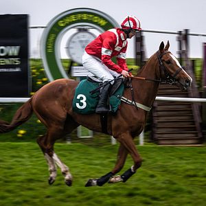 Fotoğraf Dream Horse