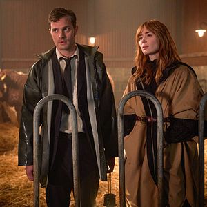 Fotoğraf Wild Mountain Thyme