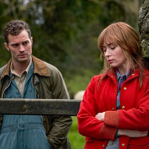 Fotoğraf Wild Mountain Thyme