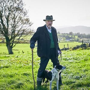 Fotoğraf Wild Mountain Thyme