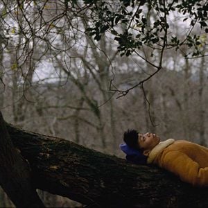 Fotoğraf Master of None