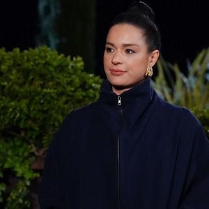 Fotoğraf Yasak Elma