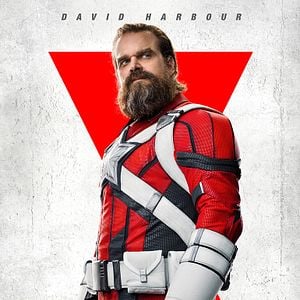 Fotoğraf Black Widow