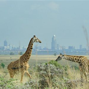 Fotoğraf Gezegenimizin Kritik Eşikleri