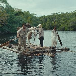 Fotoğraf Trajik Orman