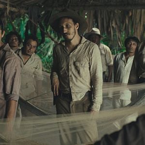 Fotoğraf Trajik Orman