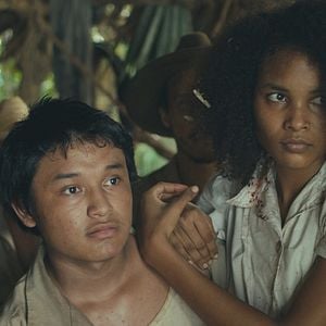 Fotoğraf Trajik Orman