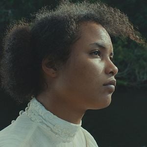 Fotoğraf Trajik Orman