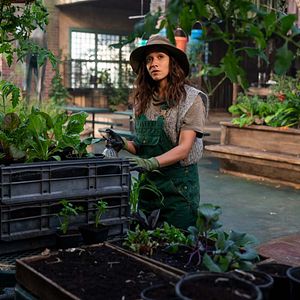 Fotoğraf Sweet Tooth