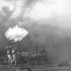 Fotoğraf Boyalı Kuş