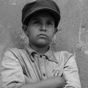 Fotoğraf Boyalı Kuş