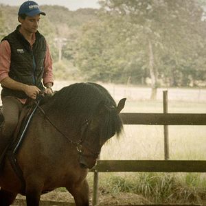 Fotoğraf Florian Hessique