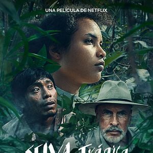 Fotoğraf Trajik Orman