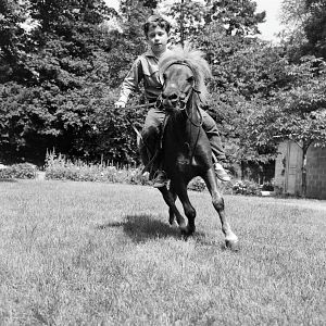 Fotoğraf Les Aventures de Poly