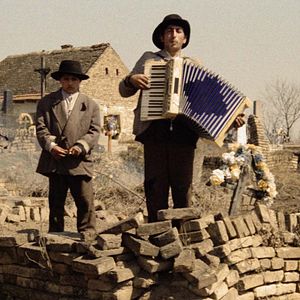 Fotoğraf Neda Arneric