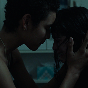 Fotoğraf The Novice