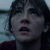 Fotoğraf The Novice