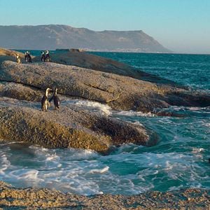 Fotoğraf Penguin Town
