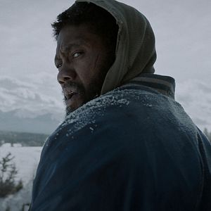 Fotoğraf Black Summer