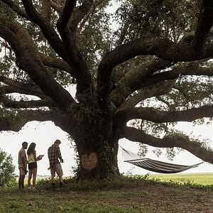 Fotoğraf Rudy Pankow