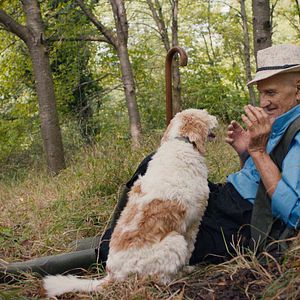 Fotoğraf The Truffle Hunters