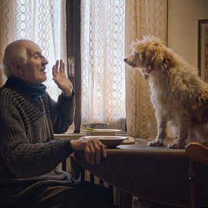 Fotoğraf The Truffle Hunters