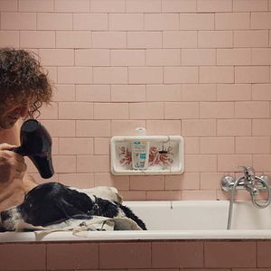 Fotoğraf The Truffle Hunters