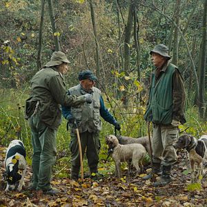 Fotoğraf The Truffle Hunters
