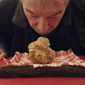 Fotoğraf The Truffle Hunters
