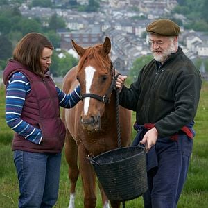 Fotoğraf Dream Horse