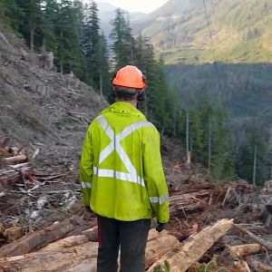 Fotoğraf Big Timber