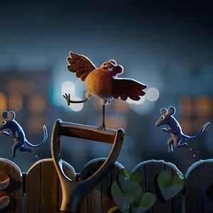 Fotoğraf Robin Robin