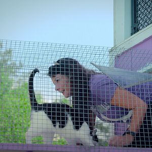 Fotoğraf Cat People