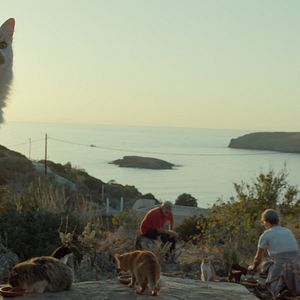 Fotoğraf Cat People