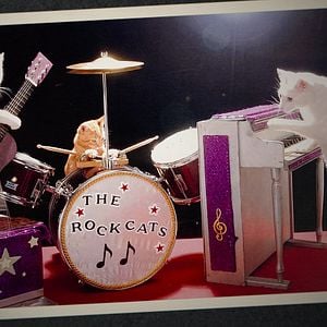 Fotoğraf Cat People