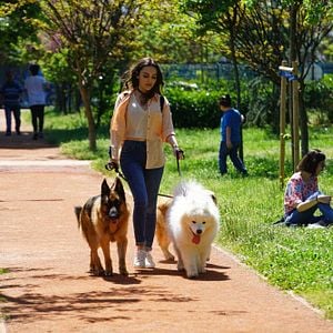 Fotoğraf Kalp Yarası