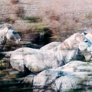 Fotoğraf Tom Medina