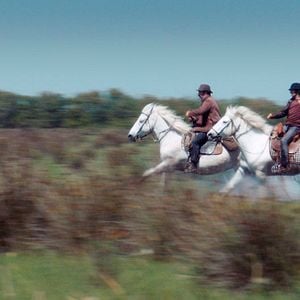 Fotoğraf Slimane Dazi